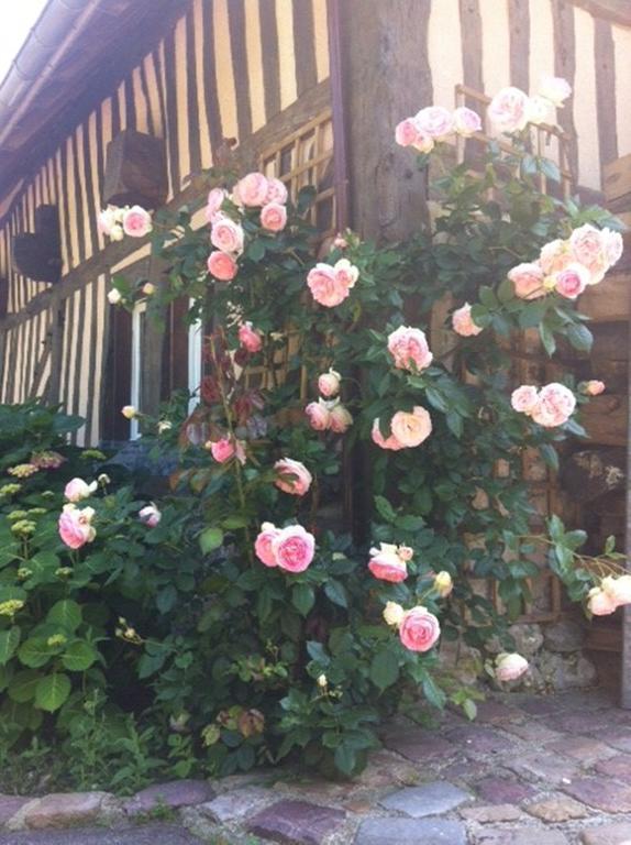 A La Bergerie Bed and Breakfast Honfleur Eksteriør billede
